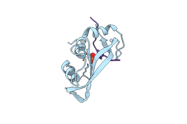 1SSC image