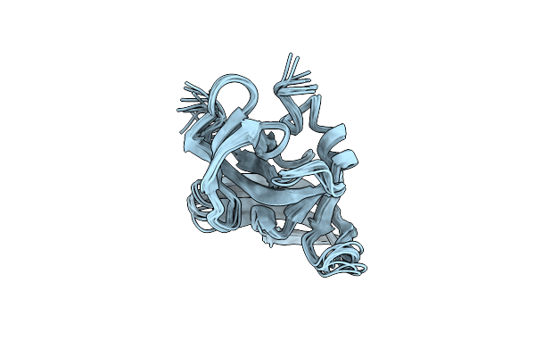 1SSF image