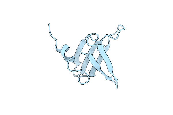 1SSO image