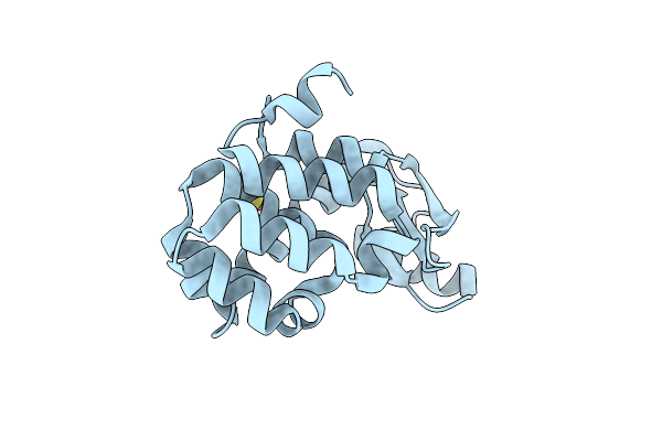 1SSW image