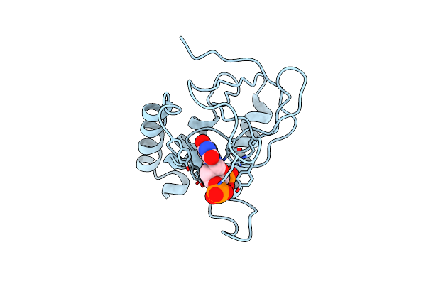 1STG image