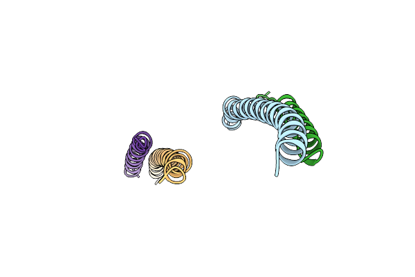 1SVF image