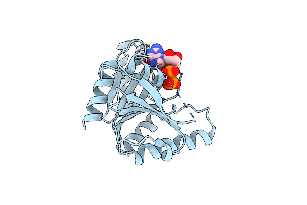 1SVI image