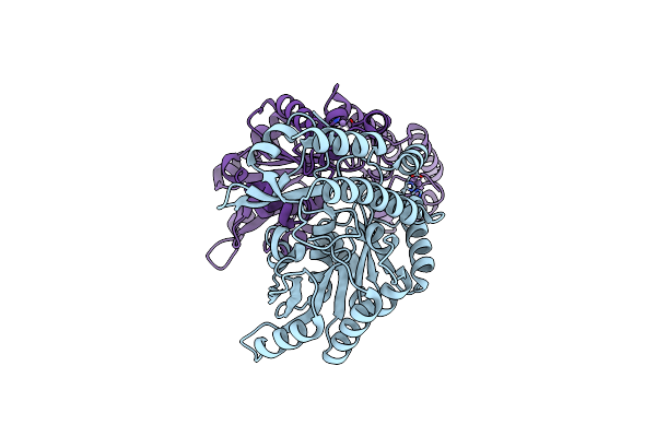 1SVV image