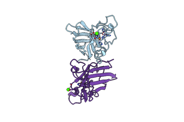 1SXN image