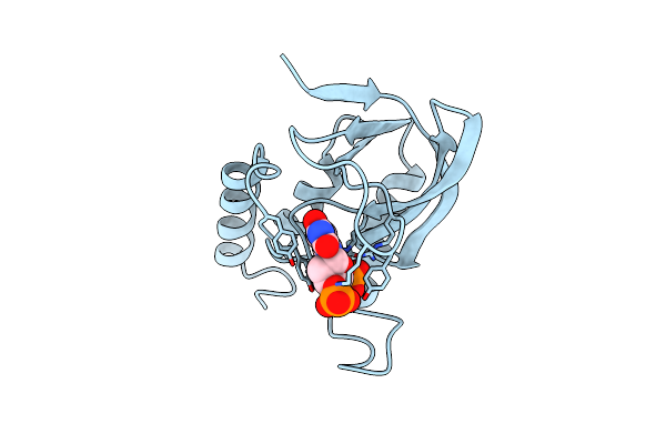 1SYB image