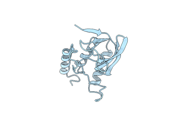 1SYE image