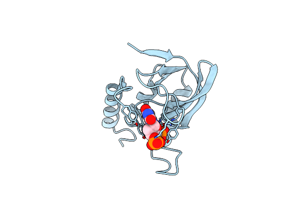 1SYF image