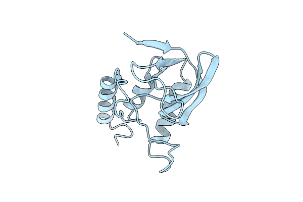1SYG image