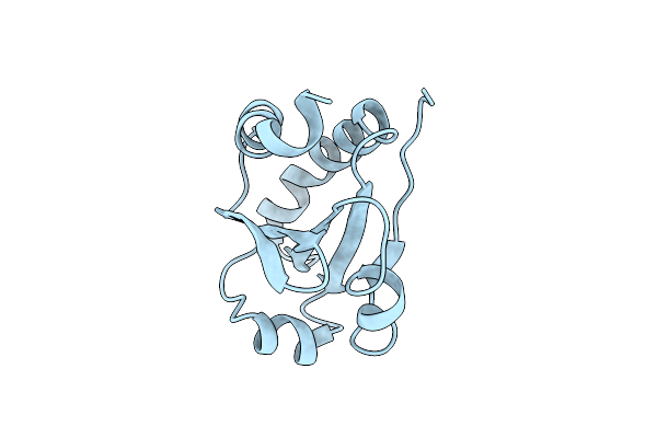 1T00 image