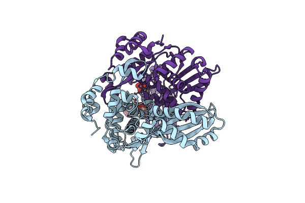 1T02 image