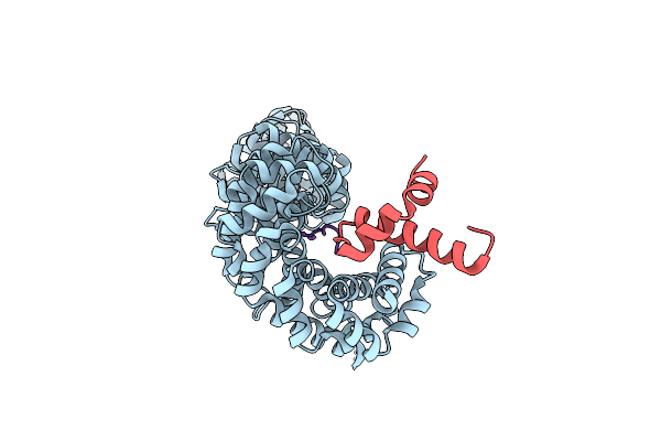 1T08 image