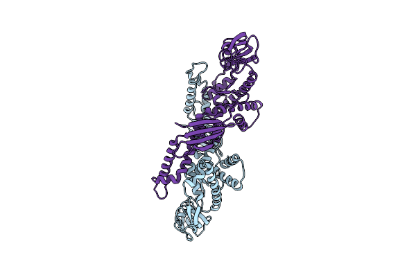 1T11 image