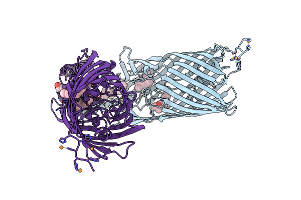 1T16 image