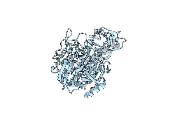 1T1E image