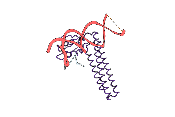 1T1M image