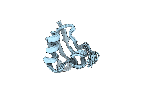 1T1T image