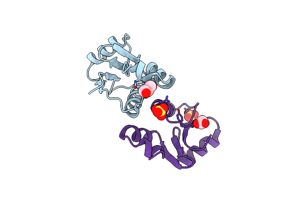 1T1V image