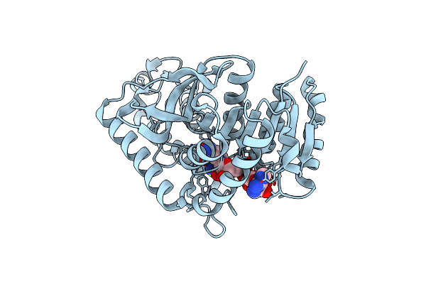 1T26 image