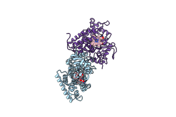 1T2B image