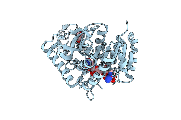 1T2D image