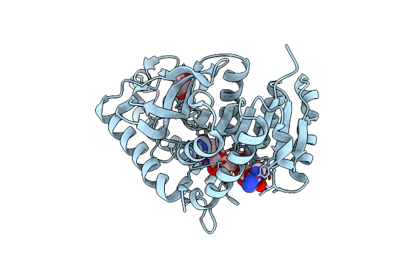 1T2E image