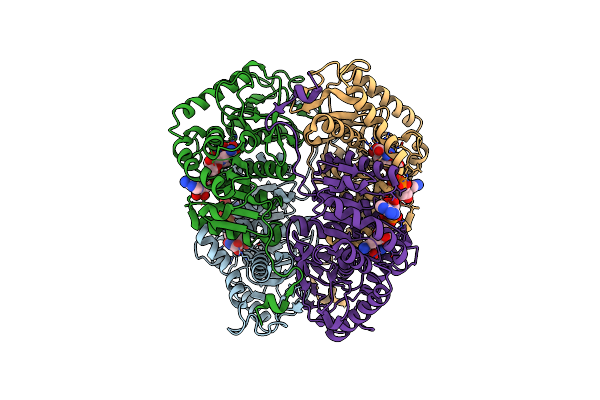 1T2F image