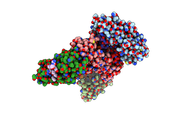 1T2V image