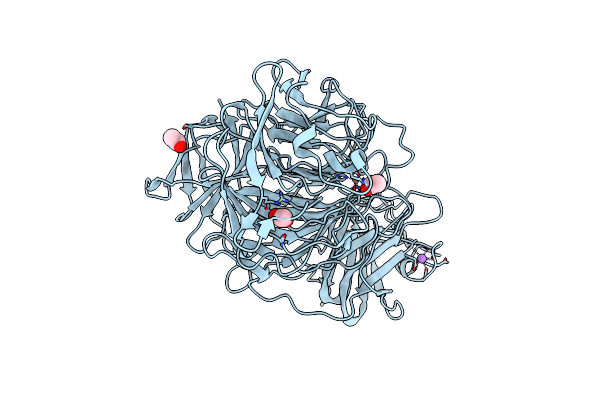 1T2X image