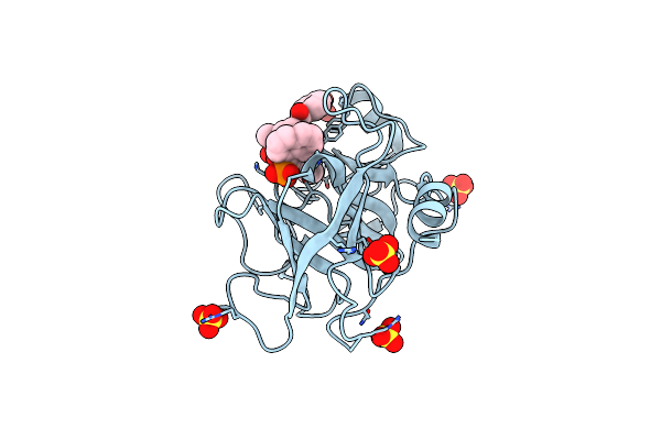 1T32 image