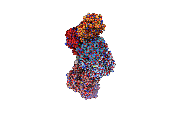 1T36 image