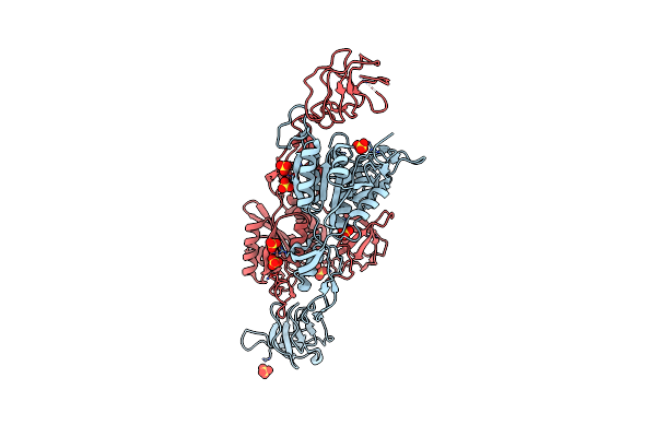 1T3E image
