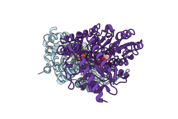 1T3I image