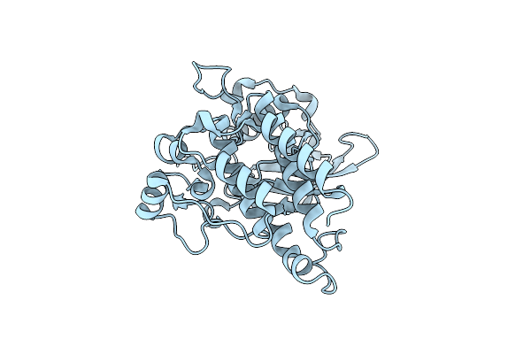 1T45 image
