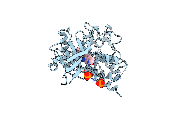 1T46 image