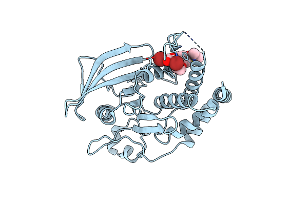 1T48 image