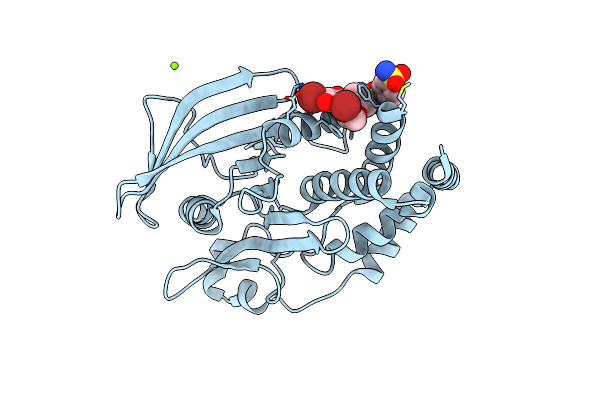 1T49 image