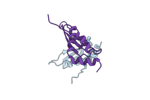1T4O image