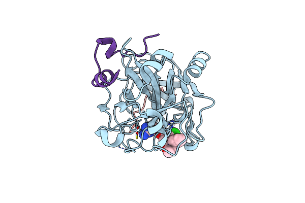 1T4V image