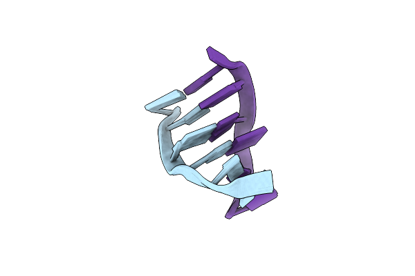 1T4X image