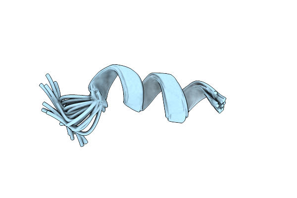 1T51 image