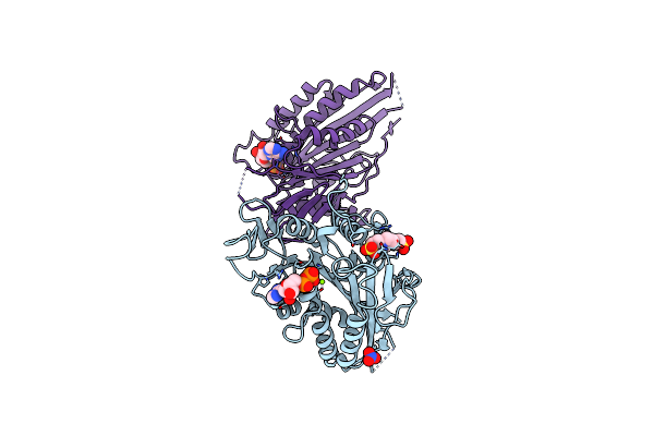 1T5C image