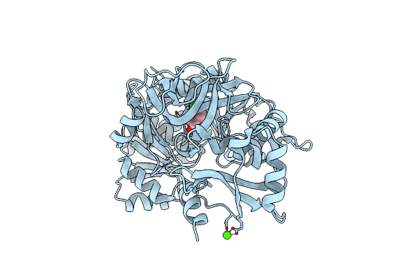 1T5D image