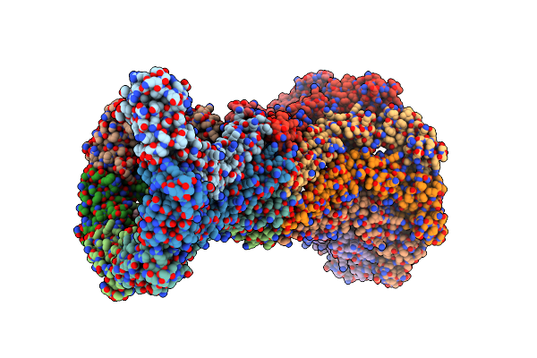 1T5E image