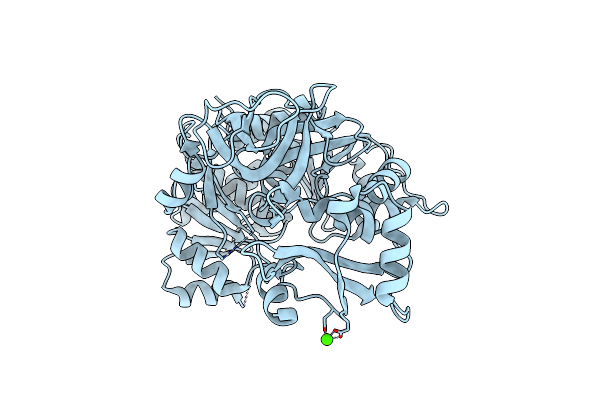 1T5H image