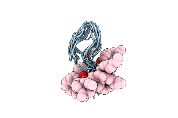 1T5M image