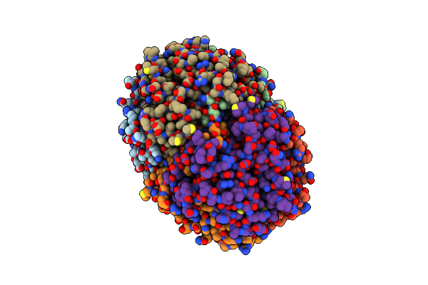 1T61 image