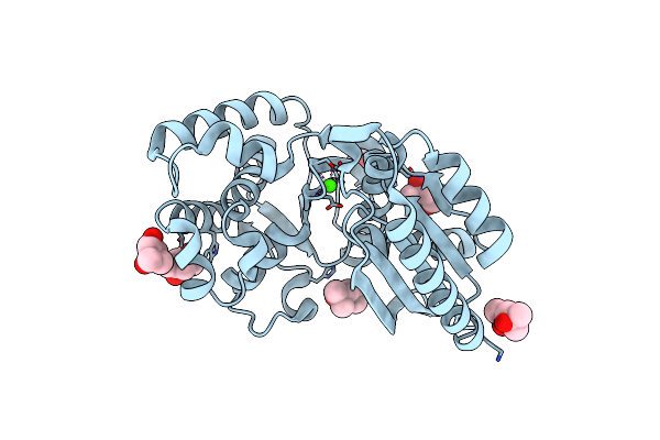 1T6C image