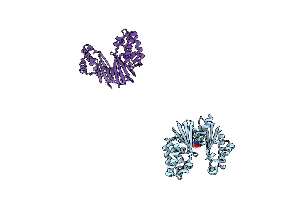 1T6D image