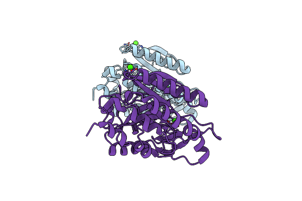 1T6M image